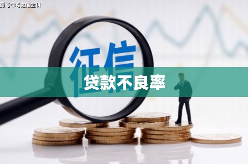 琼中贷款不良率