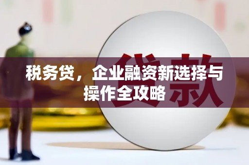 观音税务贷，企业融资新选择与操作全攻略