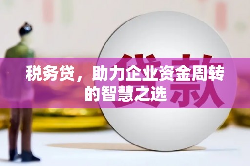 修文税务贷，助力企业资金周转的智慧之选