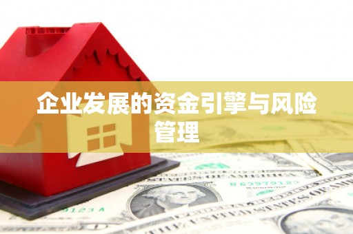 圣安多尼堂区企业发展的资金引擎与风险管理