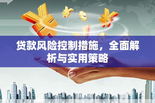 广水贷款风险控制措施，全面解析与实用策略
