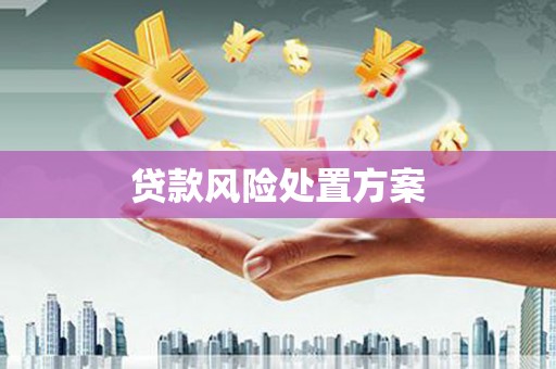 越西贷款风险处置方案