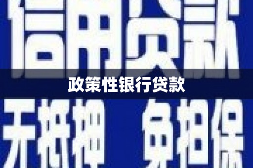 黄骅政策性银行贷款