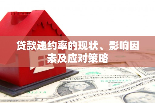 康县贷款违约率的现状、影响因素及应对策略