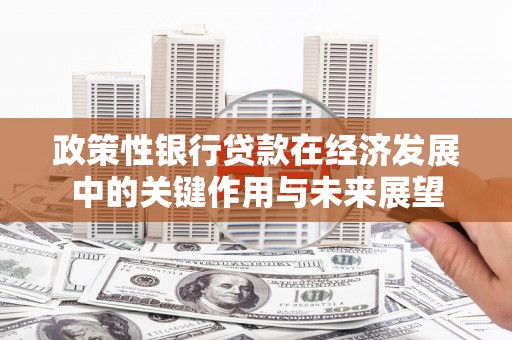 广灵政策性银行贷款在经济发展中的关键作用与未来展望