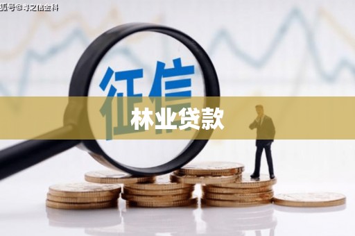 杏花岭林业贷款