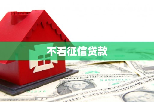 台东不看征信贷款