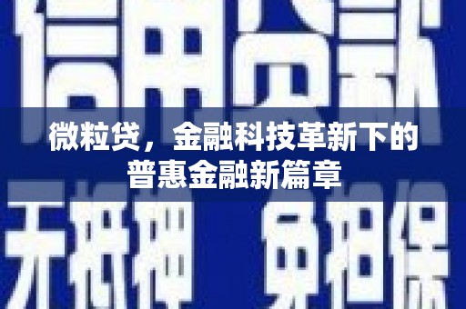 曲麻莱微粒贷，金融科技革新下的普惠金融新篇章