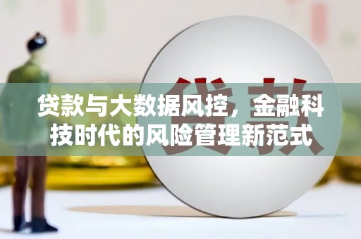 巨野贷款与大数据风控，金融科技时代的风险管理新范式