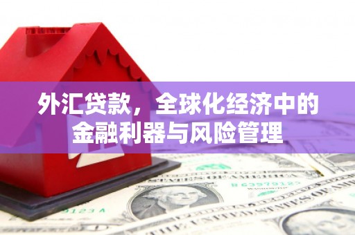 彰武外汇贷款，全球化经济中的金融利器与风险管理