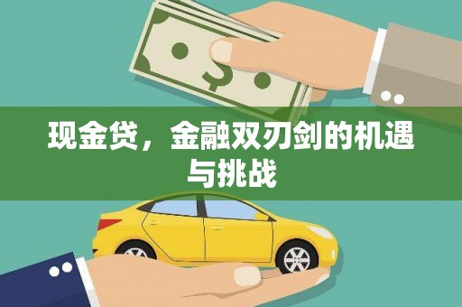 岭东现金贷，金融双刃剑的机遇与挑战