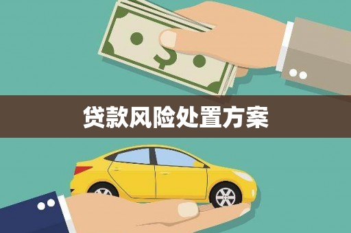 户县贷款风险处置方案