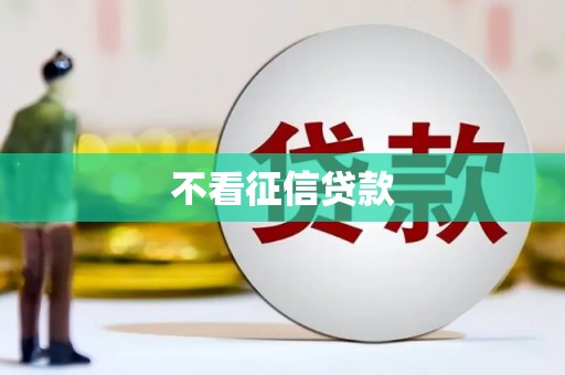 历城不看征信贷款