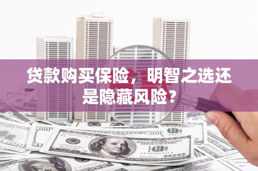 新蔡贷款购买保险，明智之选还是隐藏风险？
