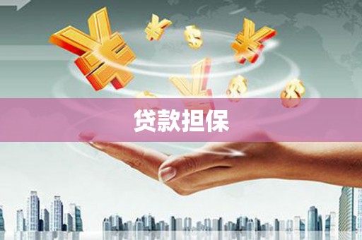 勉县贷款担保