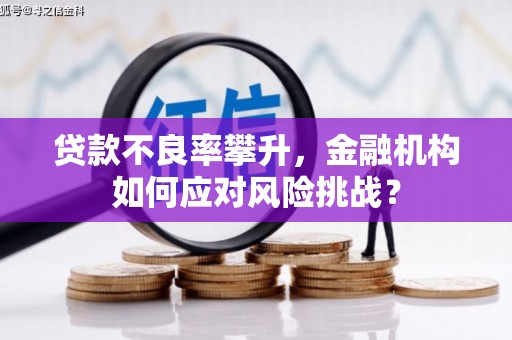 始兴贷款不良率攀升，金融机构如何应对风险挑战？