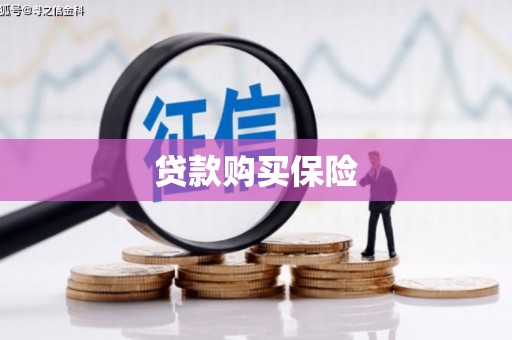 柳营贷款购买保险