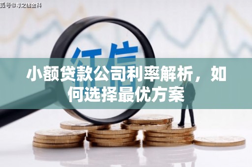 桐乡小额贷款公司利率解析，如何选择最优方案