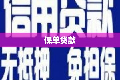 金湖保单贷款
