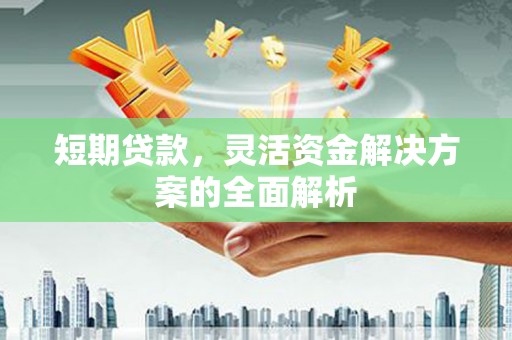 新建短期贷款，灵活资金解决方案的全面解析