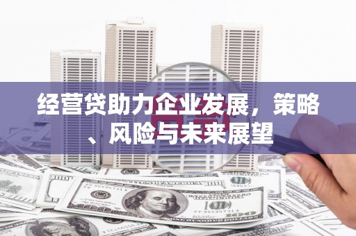 威海经营贷助力企业发展，策略、风险与未来展望