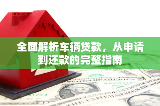 苍南全面解析车辆贷款，从申请到还款的完整指南