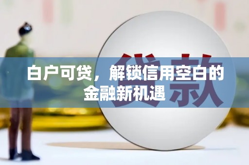 南竿白户可贷，解锁信用空白的金融新机遇
