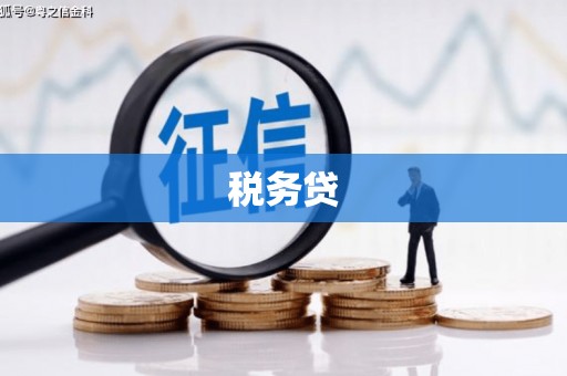 岢岚税务贷