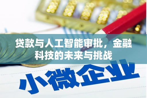 岱岳贷款与人工智能审批，金融科技的未来与挑战