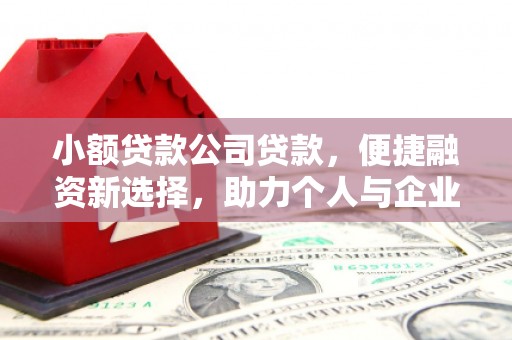 彝良小额贷款公司贷款，便捷融资新选择，助力个人与企业成长