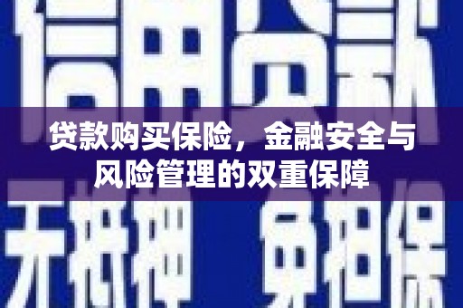 芦山贷款购买保险，金融安全与风险管理的双重保障
