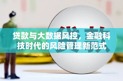 维西贷款与大数据风控，金融科技时代的风险管理新范式