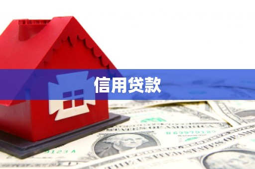 柳南信用贷款