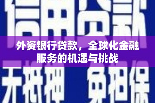 全州外资银行贷款，全球化金融服务的机遇与挑战