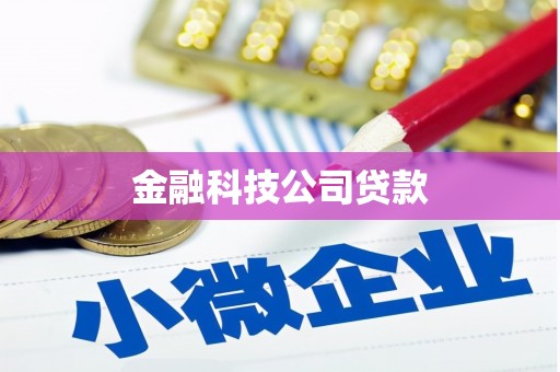 津市金融科技公司贷款