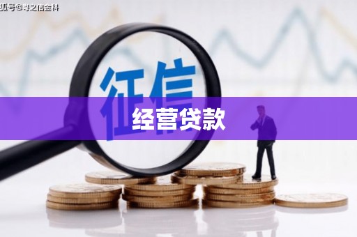 沧县经营贷款