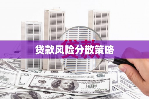 洛宁贷款风险分散策略