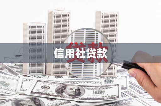 沈丘信用社贷款