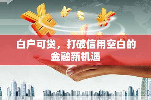 红星白户可贷，打破信用空白的金融新机遇