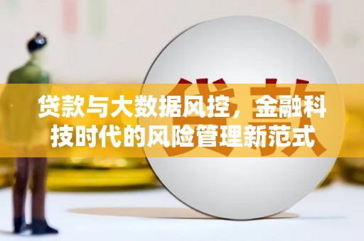 新林贷款与大数据风控，金融科技时代的风险管理新范式