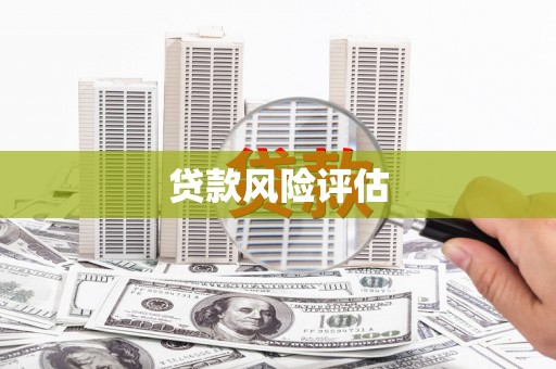 青阳贷款风险评估