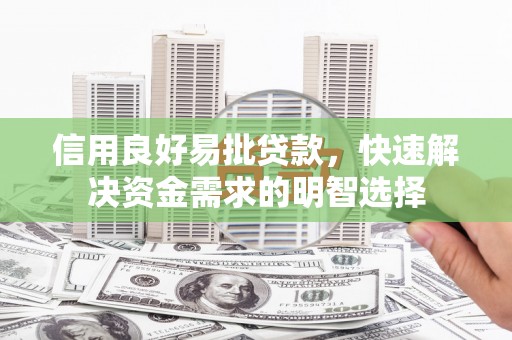 岳麓信用良好易批贷款，快速解决资金需求的明智选择