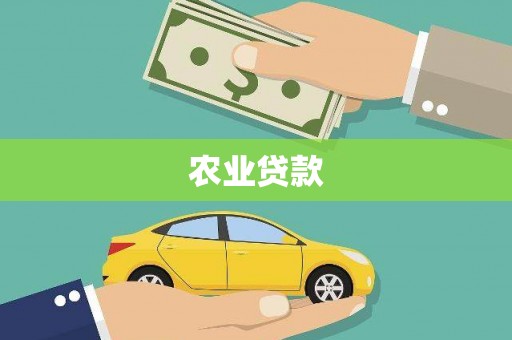 嘉黎农业贷款
