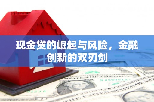 澜沧现金贷的崛起与风险，金融创新的双刃剑