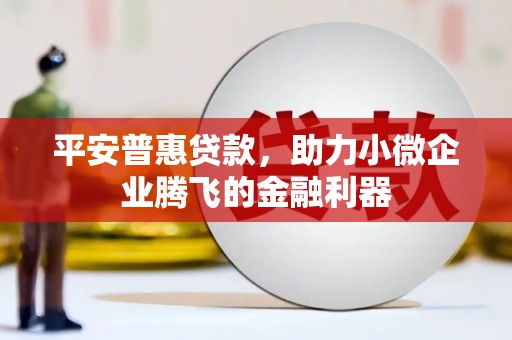 容县平安普惠贷款，助力小微企业腾飞的金融利器