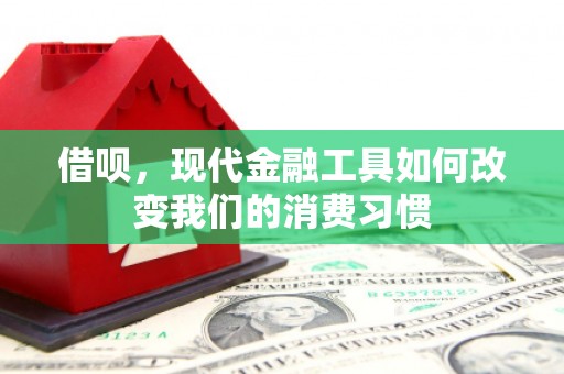 马尔康借呗，现代金融工具如何改变我们的消费习惯