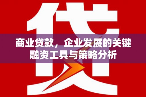 云浮商业贷款，企业发展的关键融资工具与策略分析