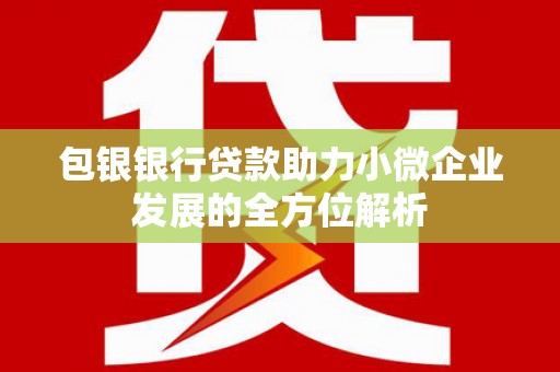 荔湾包银银行贷款助力小微企业发展的全方位解析