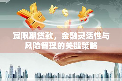 和美宽限期贷款，金融灵活性与风险管理的关键策略
