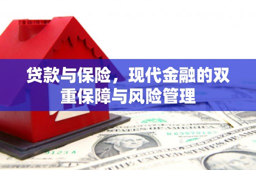 临沂贷款与保险，现代金融的双重保障与风险管理
